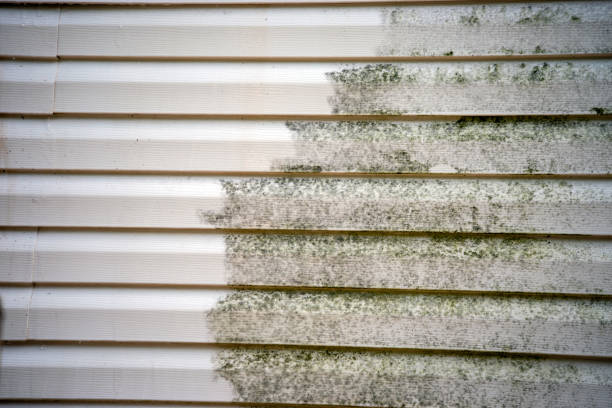 Best Yard Waste Removal  in Shawneeland, VA